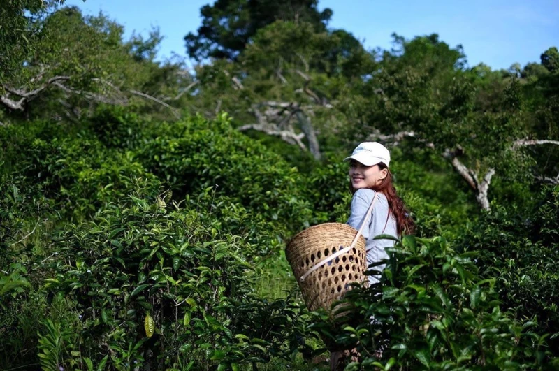 catalogs_file_224_43_41_366622.webp